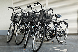 Bicycle Rental